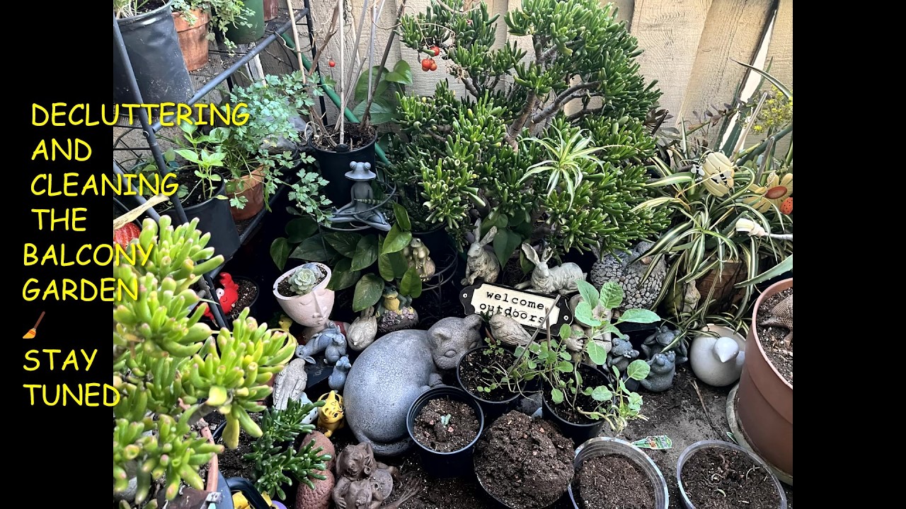 #DECLUTTERORGANIZESTYLEREFRESHTHEGARDEN  🧹 CLEANING AND REFRESHING THE GARDEN🧹BACK WENT OUT😭