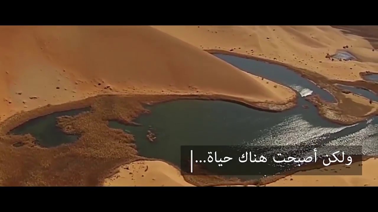 من الربع الخالي تنهمر مياه  مشروع الوجيد ..