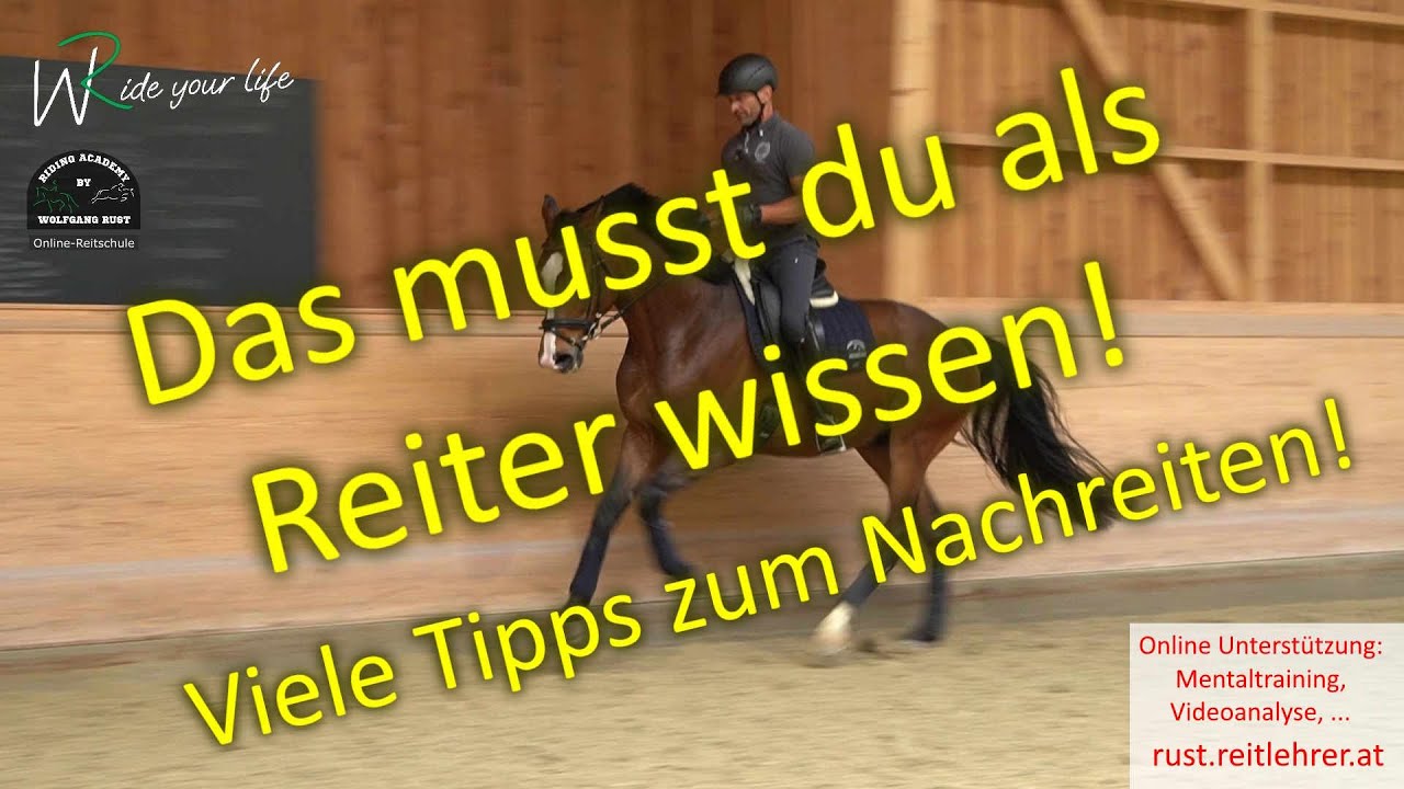 F137 Mr. Million: Pferde geschlossen durchs Genick und am Zügel reiten lernen. Besser Reiten lernen