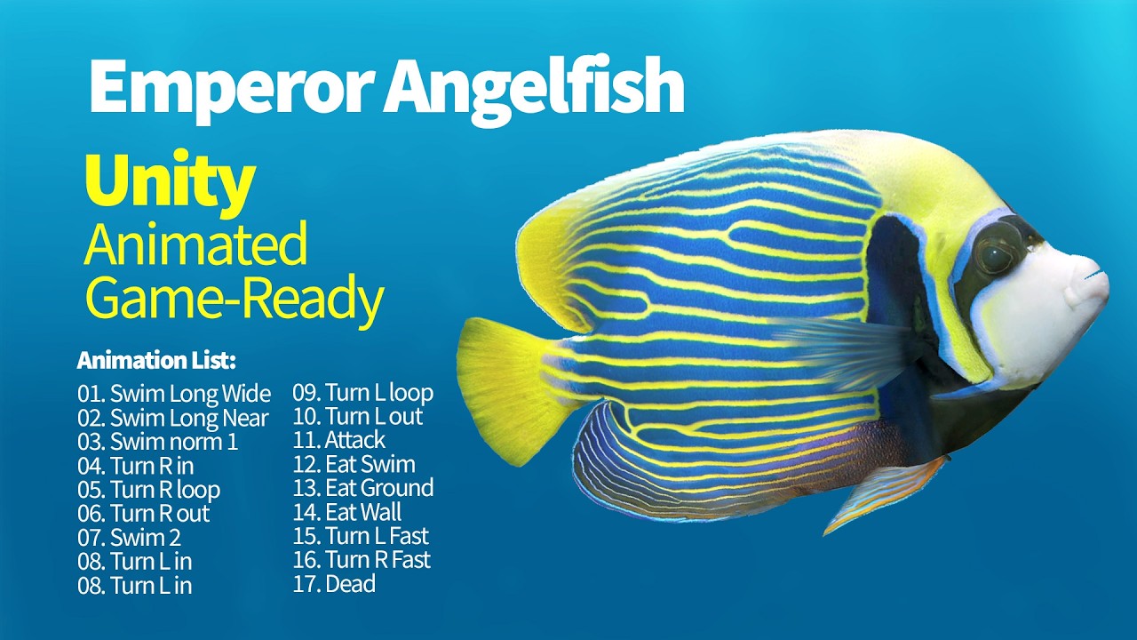 Emperor Angelfish. Game - Asset