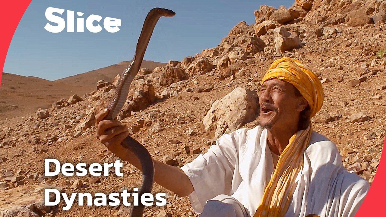 Morocco&rsquo;s Desert Masters: Snakes, Camels, and Ancient Traditions | SLICE