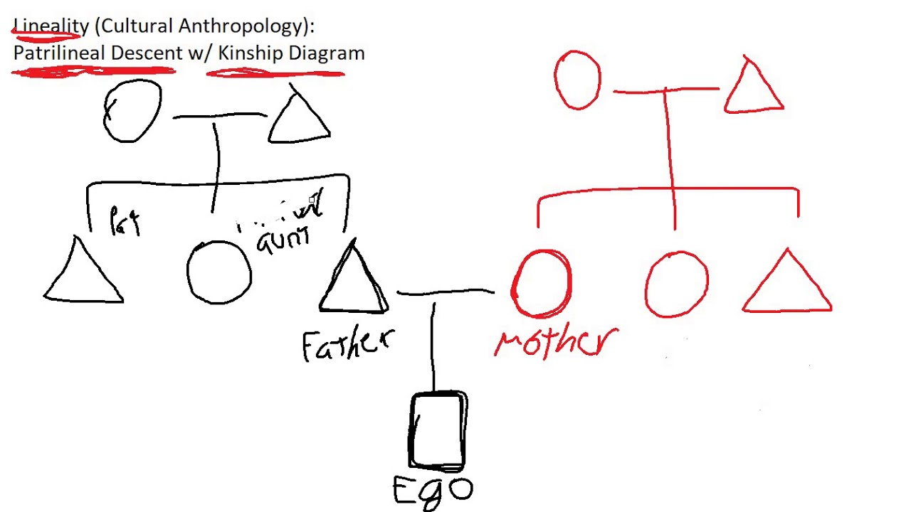 Introduction to Patrilineal Descent w/ Kinship Diagram | Cultural Anthropology