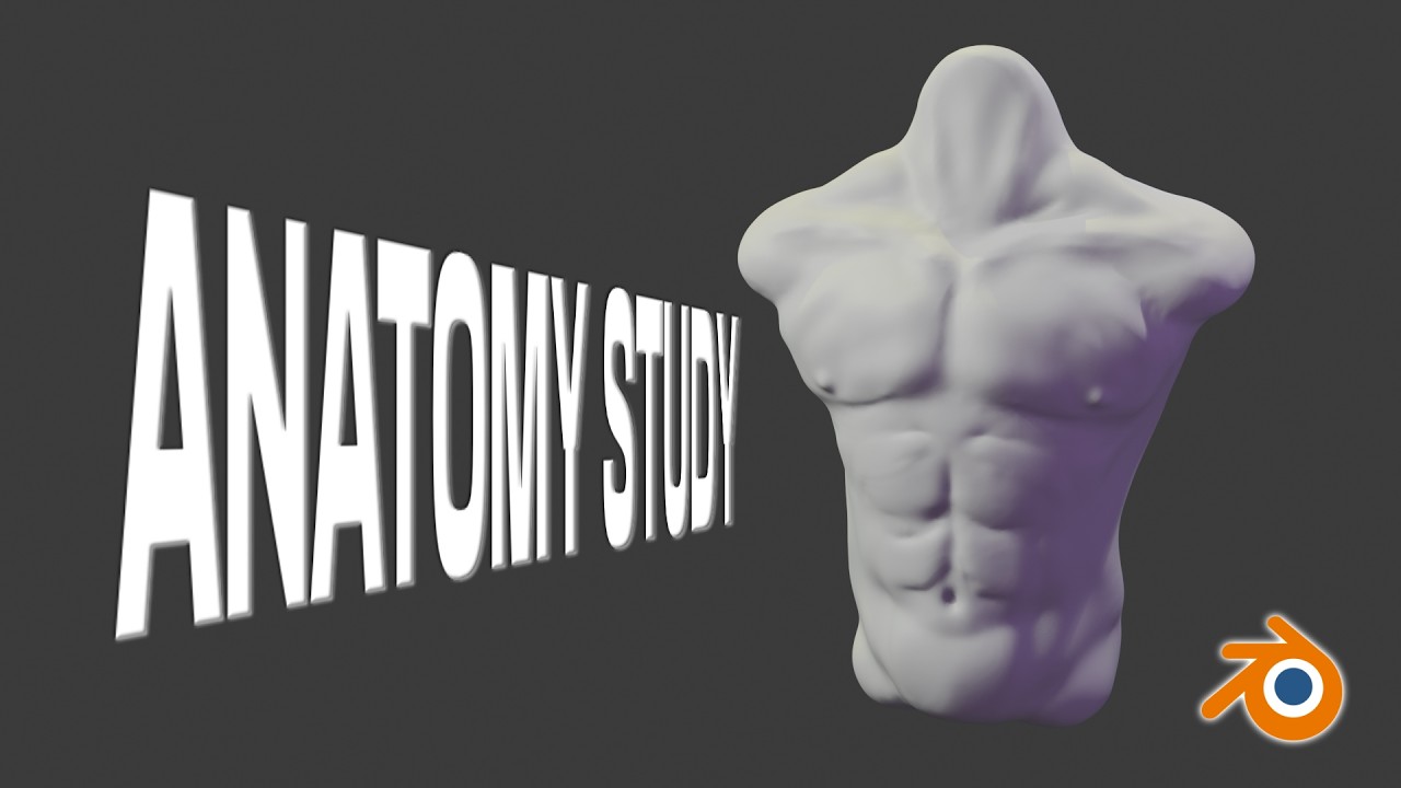 Blender Body Sculpt — Anatomy Study for Beginners