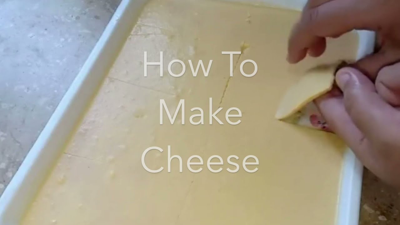 How To Make Cheese