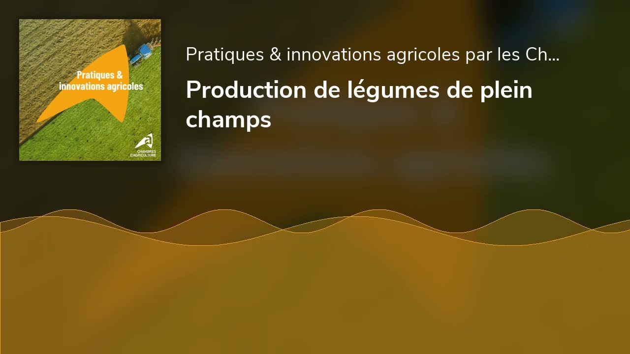 Production de légumes de plein champs