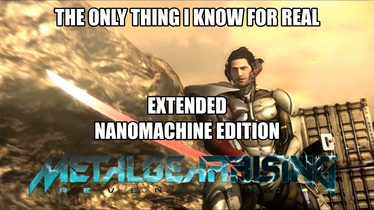 The Only Thing I Know For Real [Metal Gear Rising Revengeance] - Nanomachine Edition - Extended