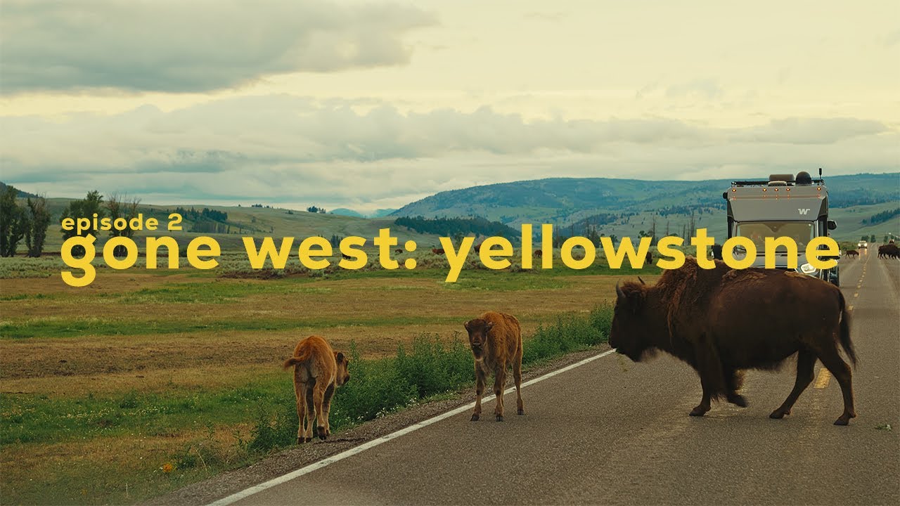Truck Camping in Yellowstone National Park | Wolves, Lamar Valley, Old Faithful | Gone West: Ep 2