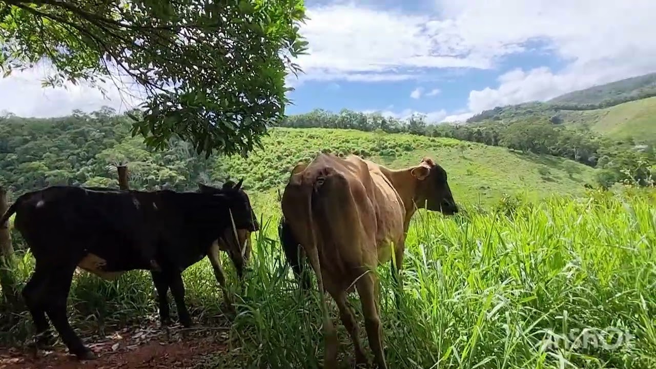 Passeio na Roça com família 