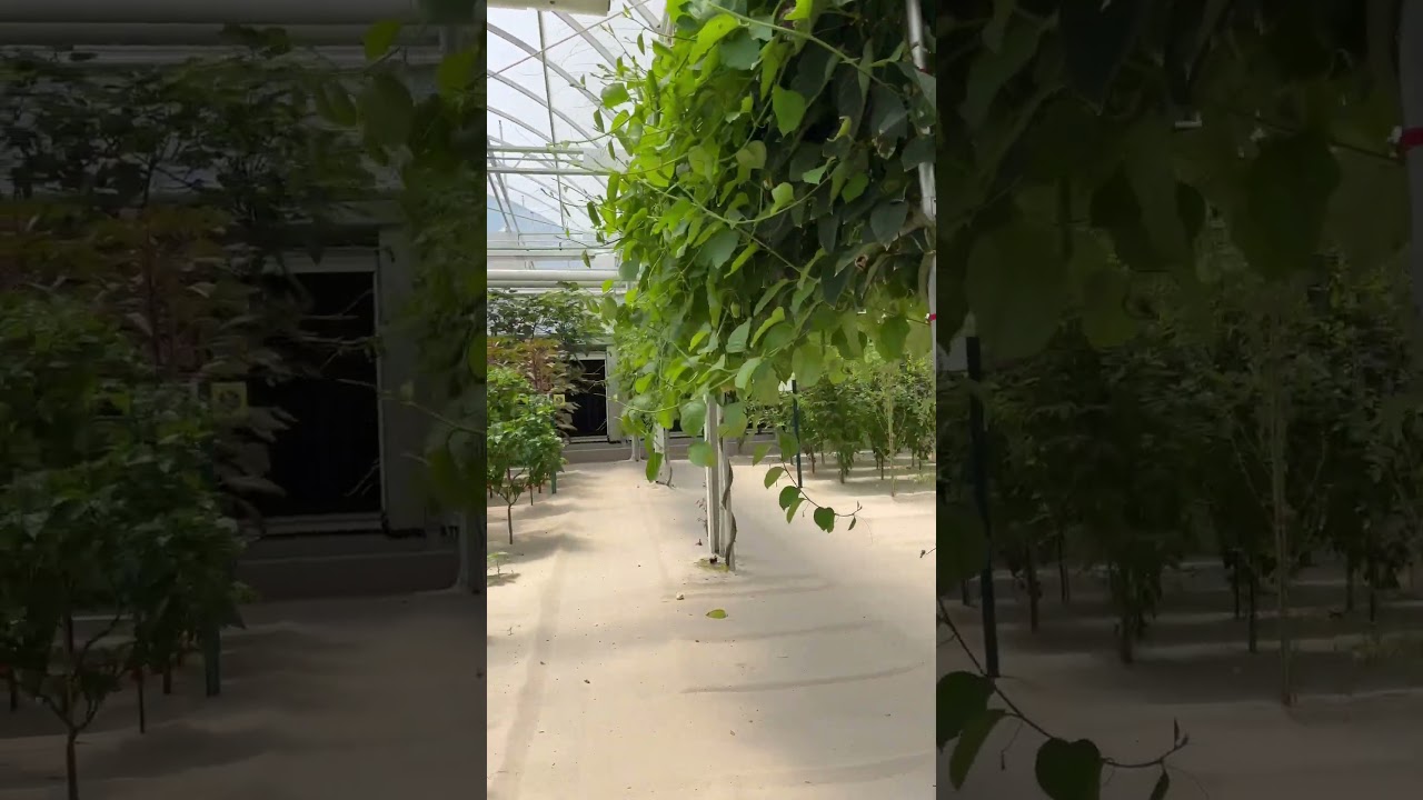 Living with the Land at EPCOT Land Pavilion Greenhouse Tour