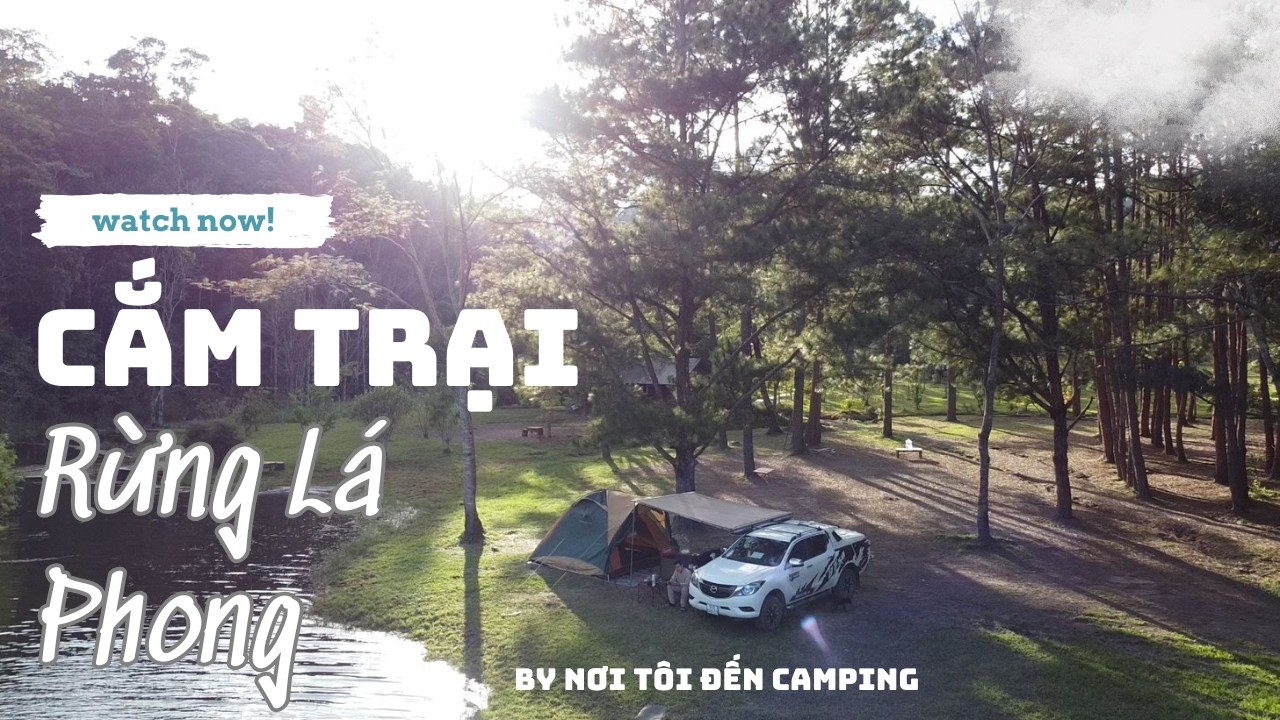Cắm trại rừng lá phong - Điểm hẹn camping hot nhất mùa này