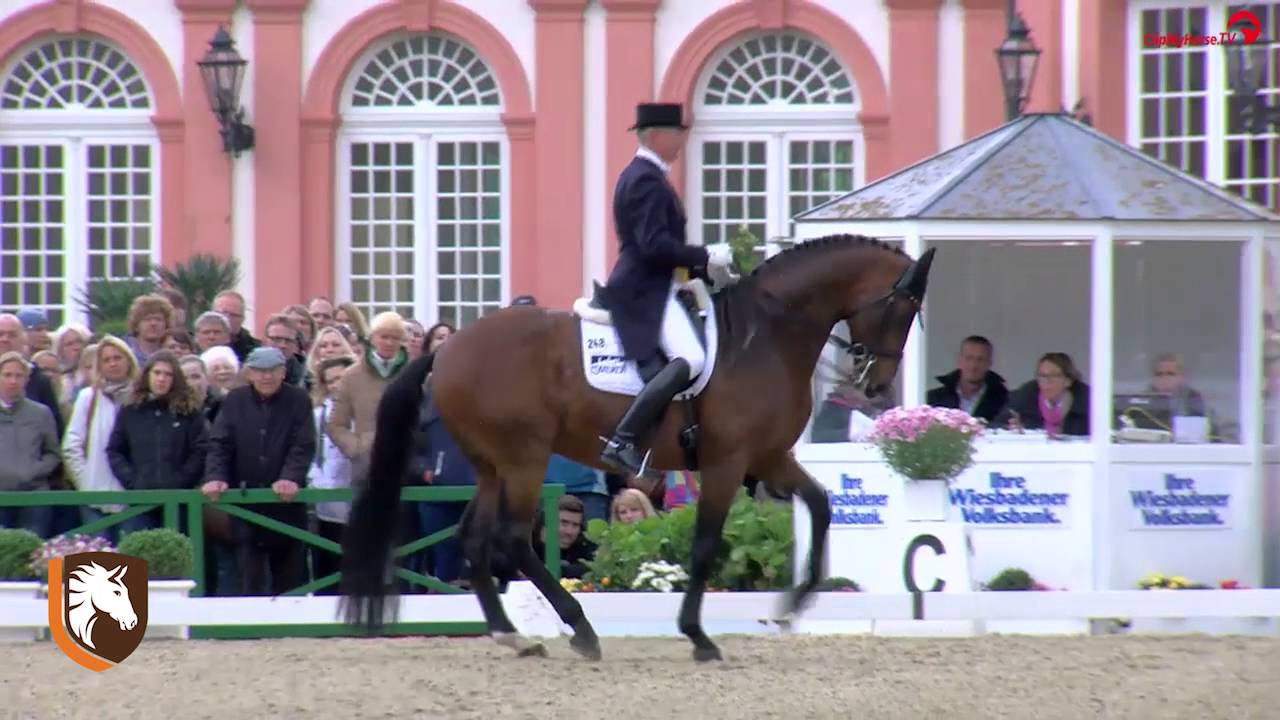 WDM Wiesbaden 2016 #2 in CDI 5* WDM VIAN GROUP GPS Hubertus Schmidt & Imperio 3