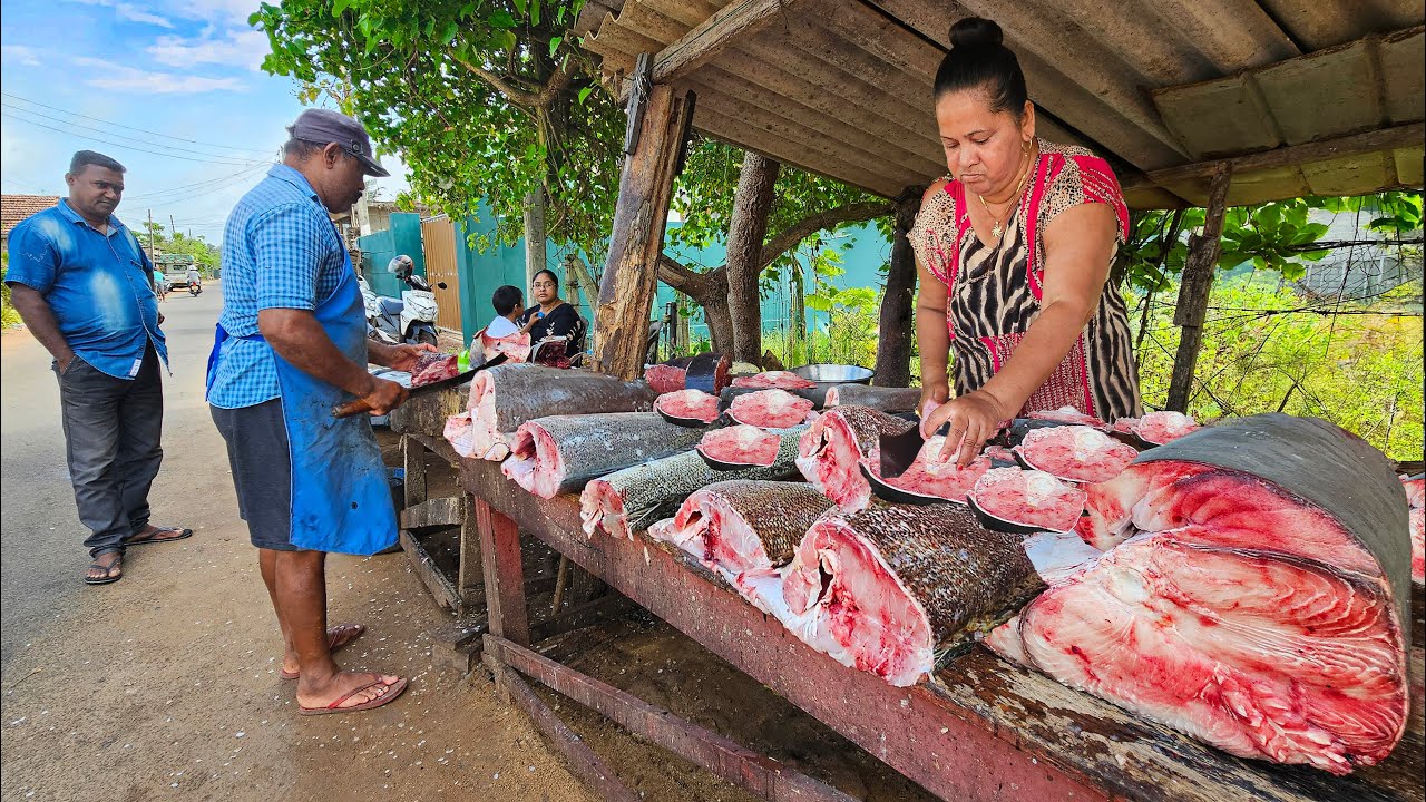Wow!! Beautiful Nature Village's Worth Fish Market & Fish Cut in Amazing Sri Lanka