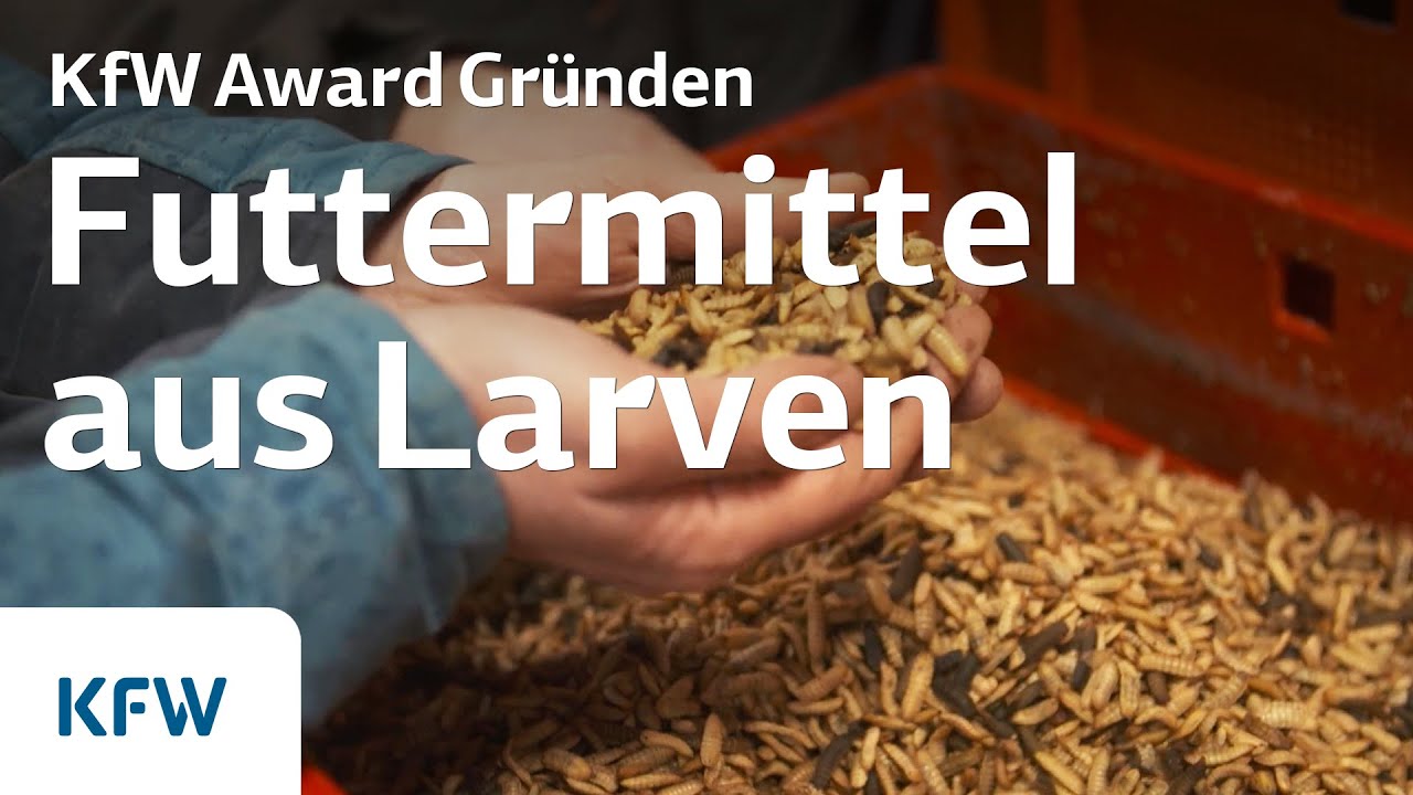Nachhaltiges Protein: Futtermittel von madebymade | KfW Award Gründen 2020