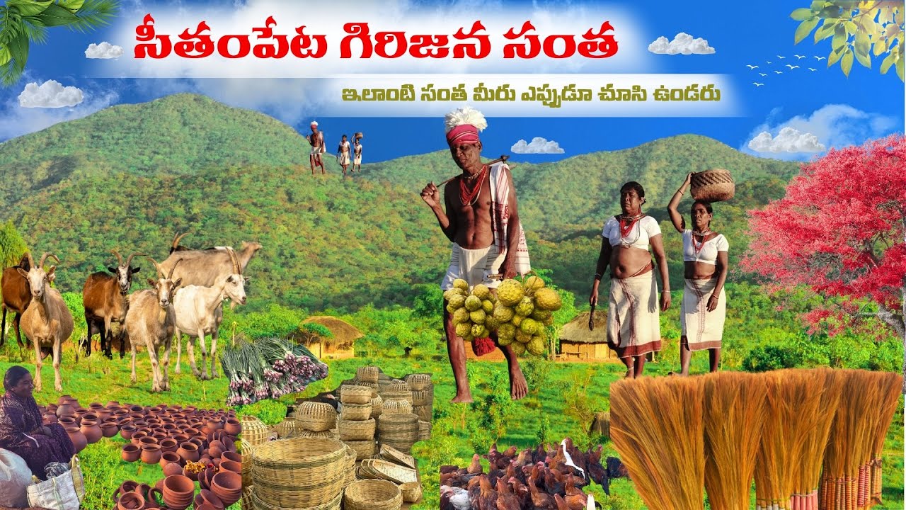 Seethampeta tribal martket/సీతంపేట గిరిజన సంతలో ఇక్కడి వస్తువులు ఇంత తక్కువ రేటుకు ఎందుకు?