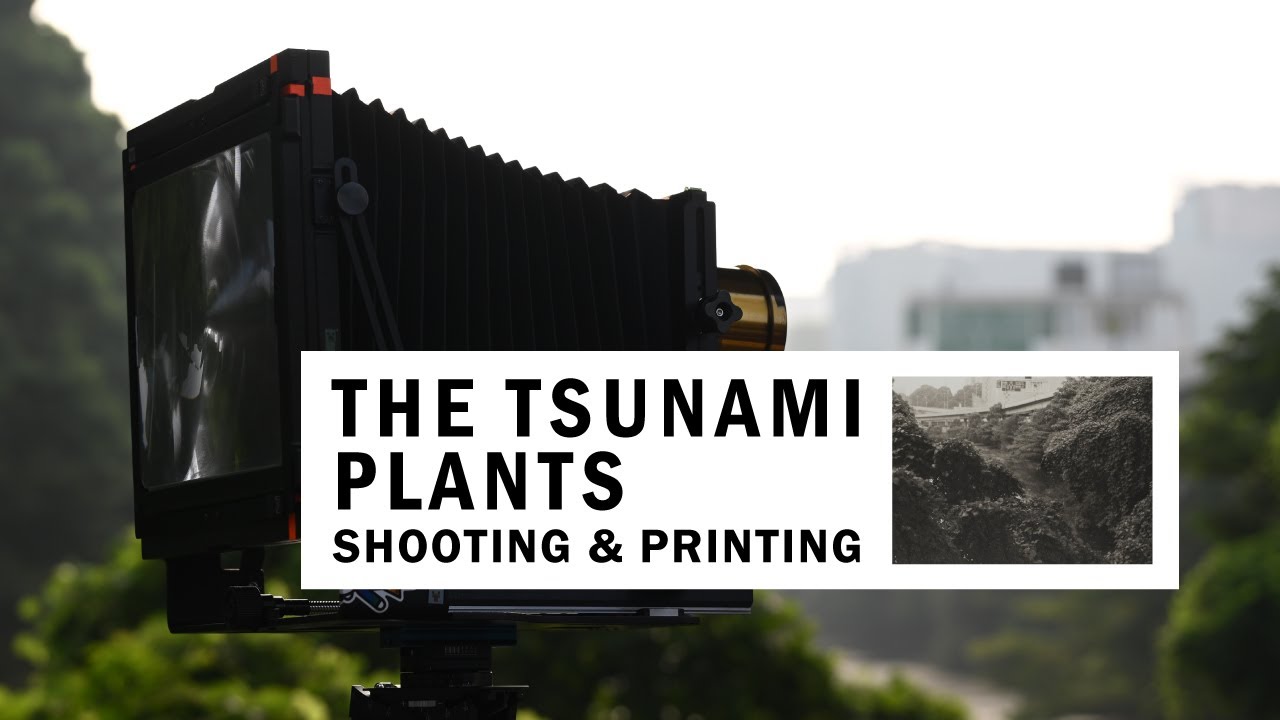 8x10 Large Format Photography & Platinum Palladium Print | Silent Vlog