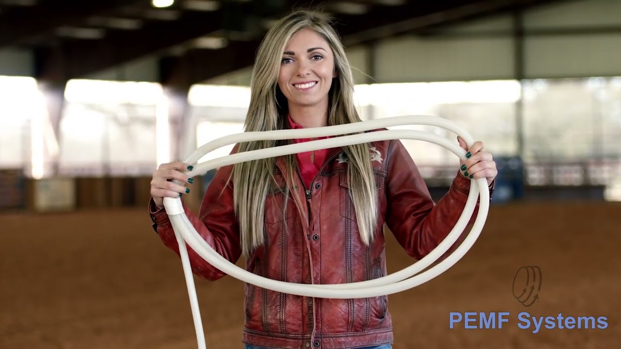 Equines and Small Animals PEMF Therapy Solutions