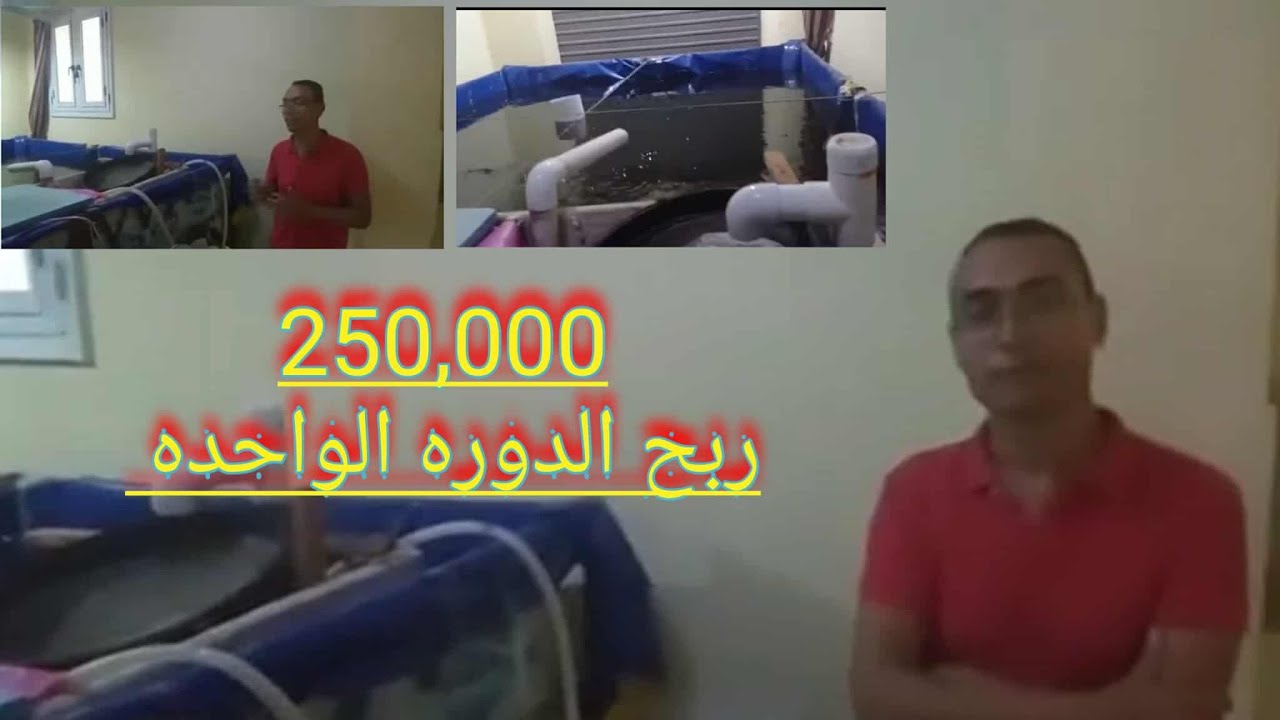 مزرعة سمكية صغيره ٣|#مشروع صغير#مشروعات صغيره#مشروع وربح#مشروع براس مال صغير#مشروعك الخاص