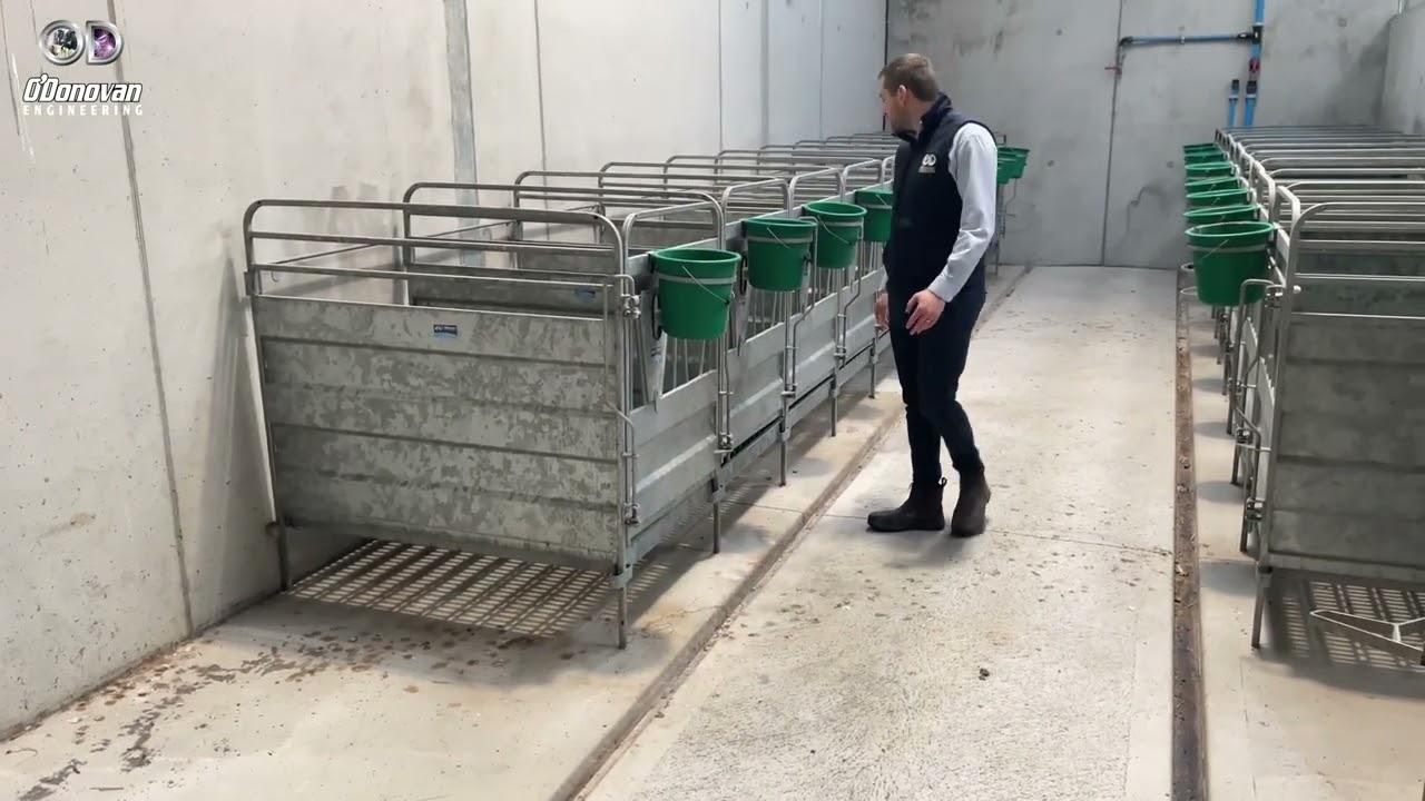 O'Donovan Engineering Individual Calf Pens