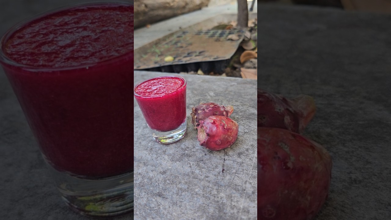 Findla Juice - Cactus Juice - good for hemoglobin and b12 deficiency😋 
