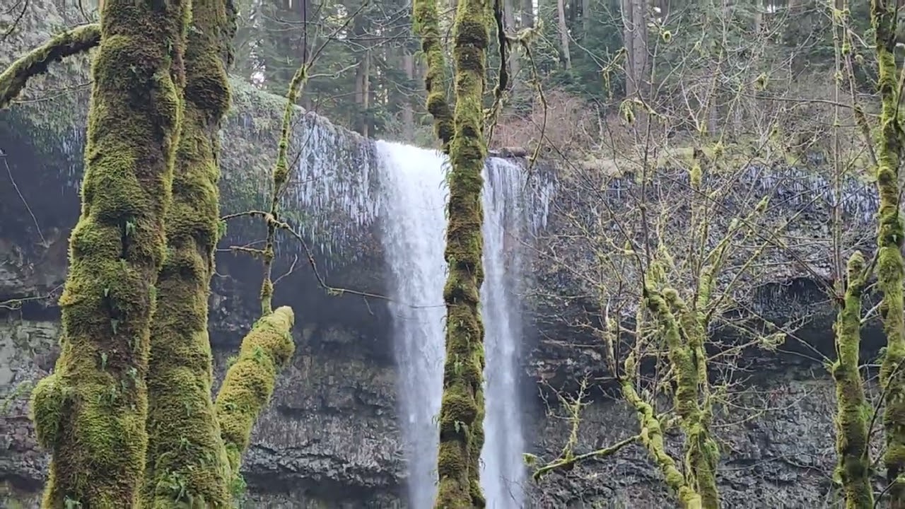 Silver Falls january 2026