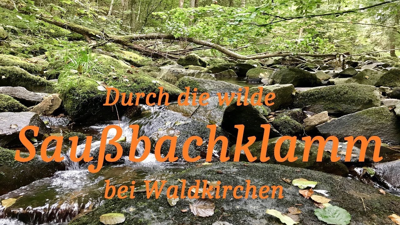 Saußbachklamm bei Waldkirchen