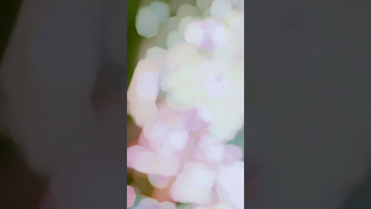 BORDER -2 Song || WhatsApp status || Love story