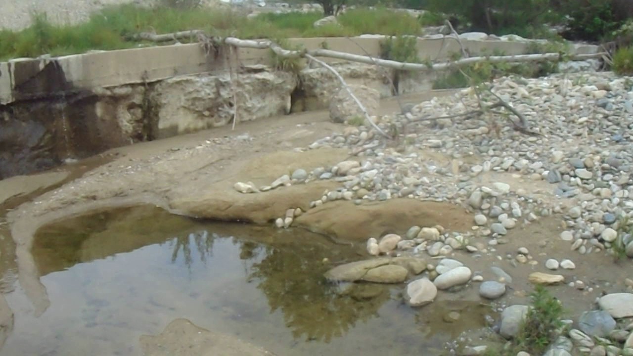 Torrente Elvo ad Arro frazione di Salussola(BI)