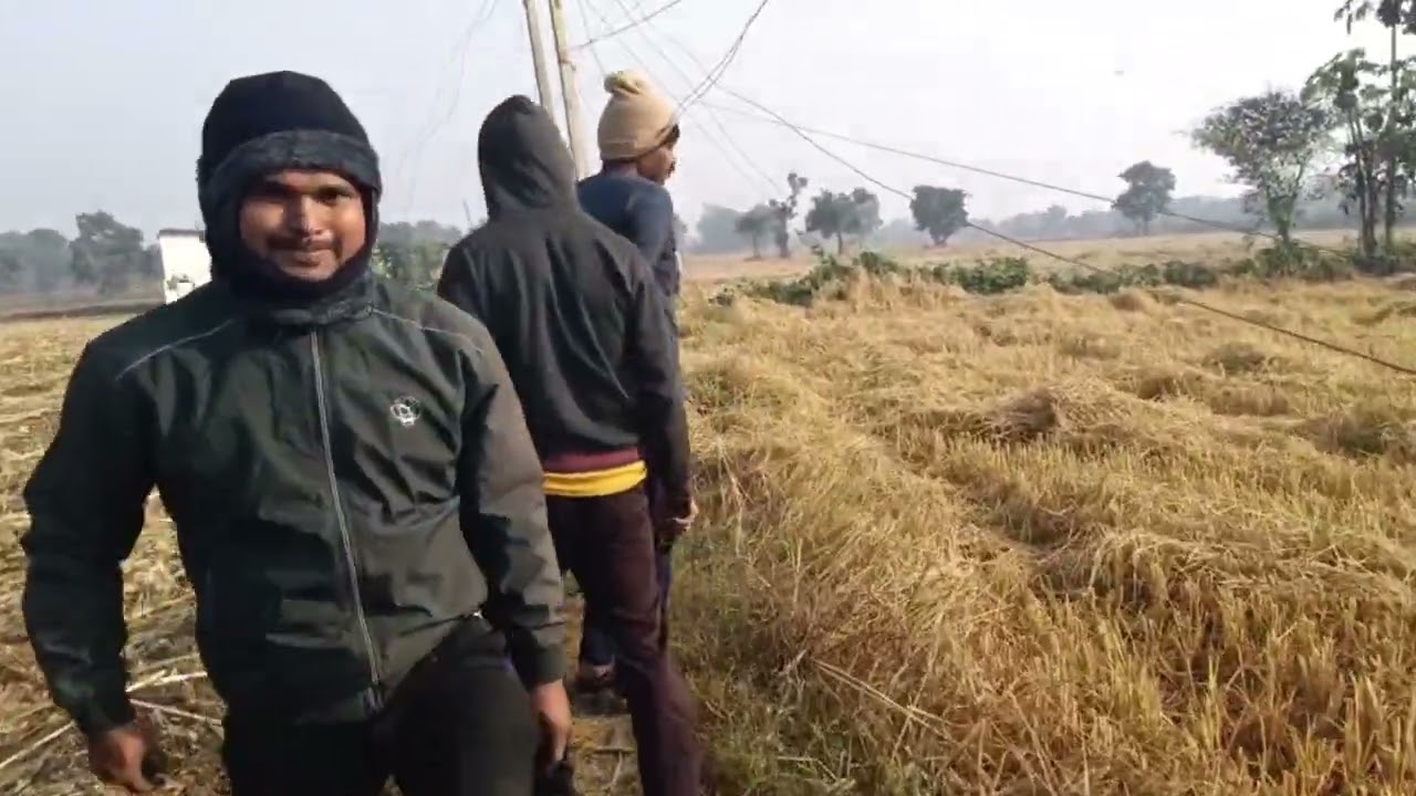लाइट गोल होने का कारण 
