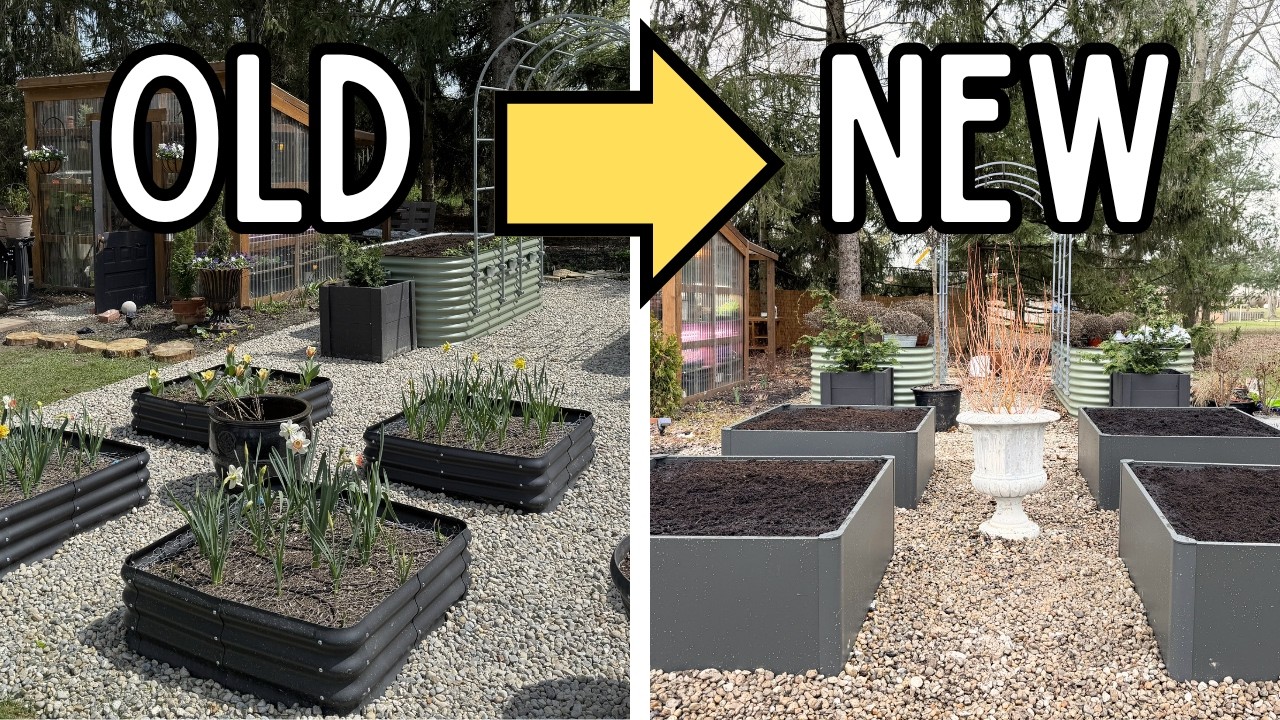 Garden Upgrade! Replacing Cheap Raised Beds with @Vego Garden Academy  Beds