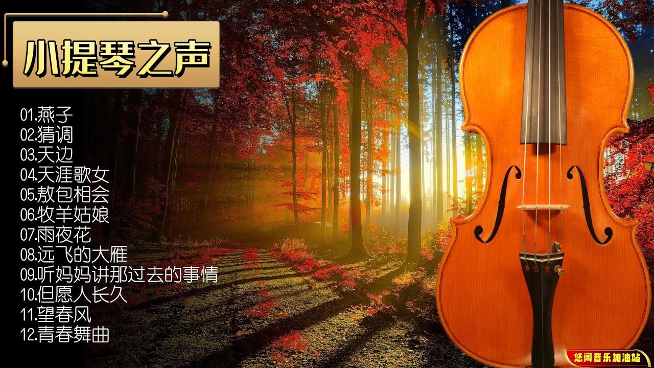 【无损音乐】小提琴演奏的旋律融合了东西方音乐的精粹，弦乐之声细腻多变！