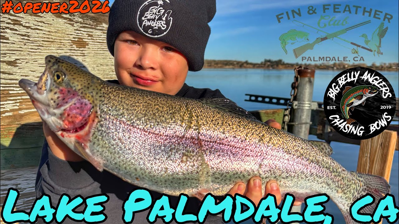 WE FOUND 15K LBS OF MT LASSEN TROUT | FISHING FIN & FEATHER TROUT OPENER | JAN 2026 LAKE PALMDALE CA