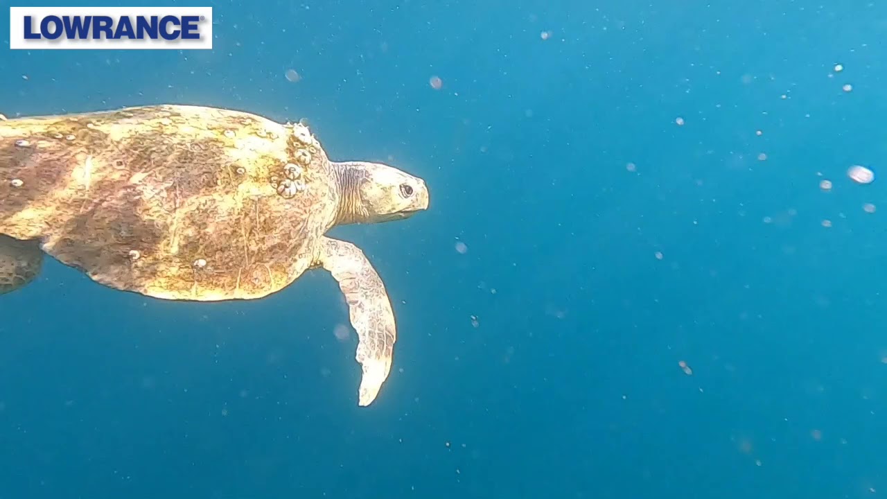 Winter Kayak Fishing in Kwazulu Natal South Africa