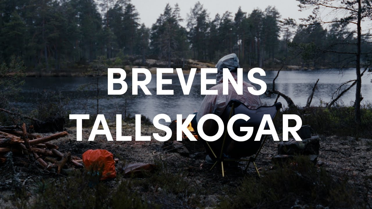 Solo spring hike and camp in Brevens Tallskogar, Sweden - only nature sounds