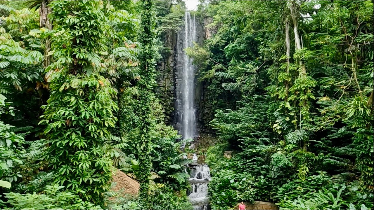 Waterfall Aviary Full Tour - Jurong Bird Park Singapore