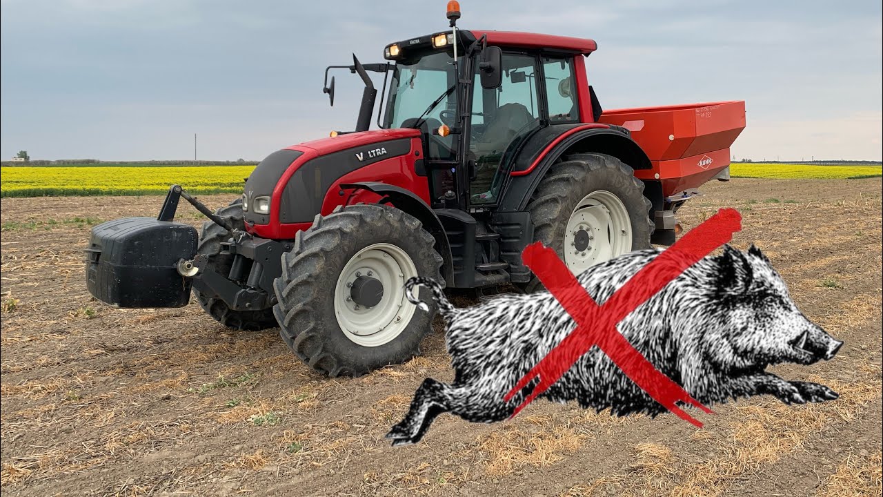 #328- Nawożenie pod QQ + zmasakrowane pole przez dziki! Kukurydza do przesiania...