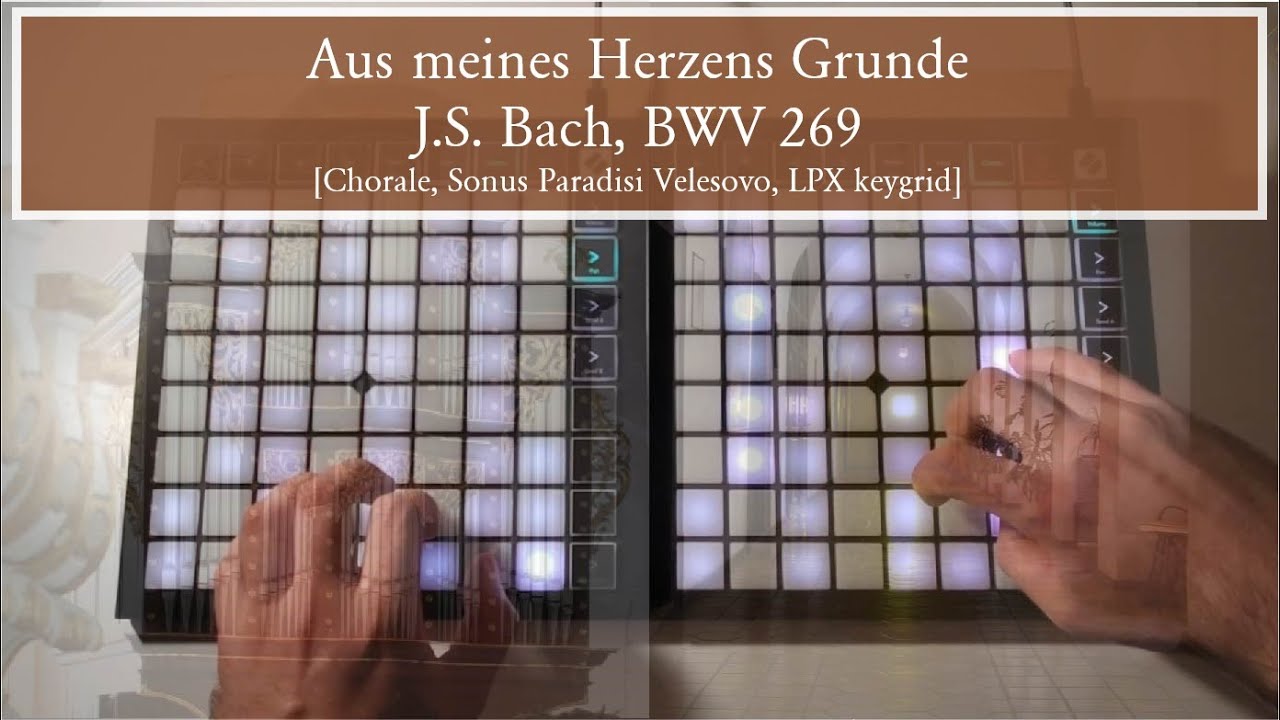 Aus meines Herzens Grunde, BWV 269 // J.S. Bach [Chorale-Velesovo Organ/Sonus Paradisi, LPX keygrid]
