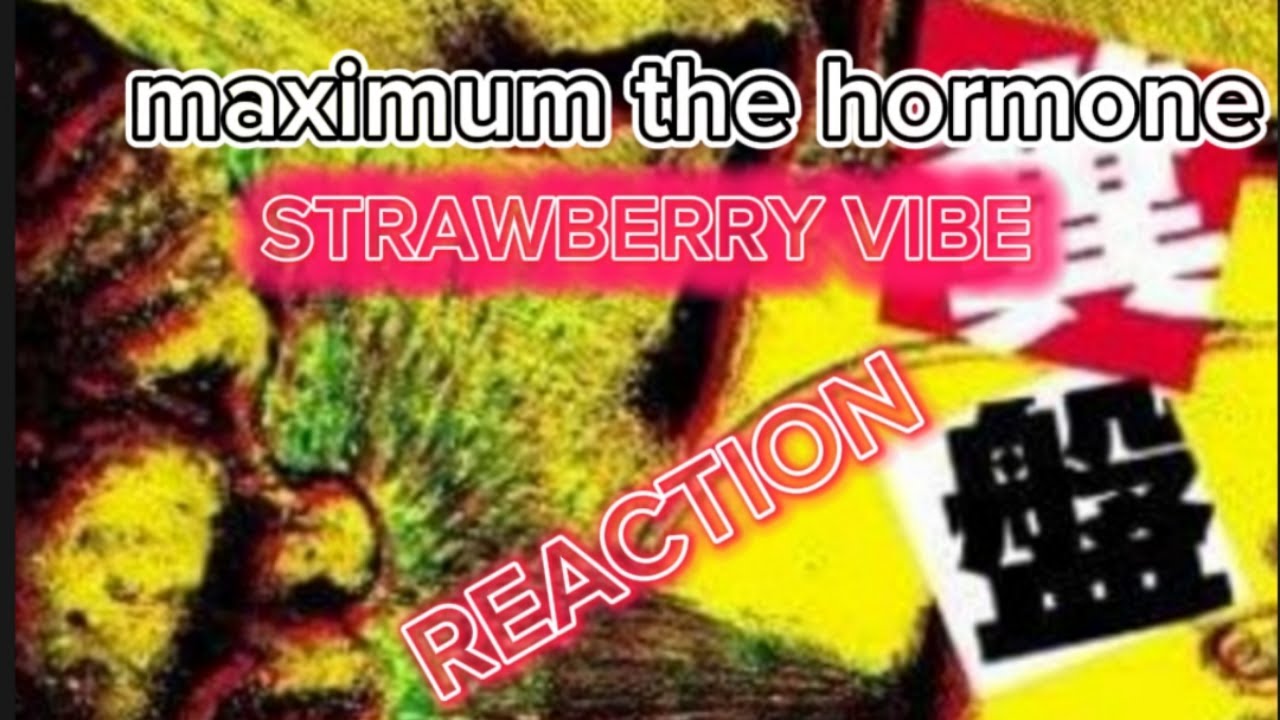 MAXIMUM THE HORMONE -HEISEI STRAWBERRY VIBE REACTION #guitar #reactionvideo #japanesemetal
