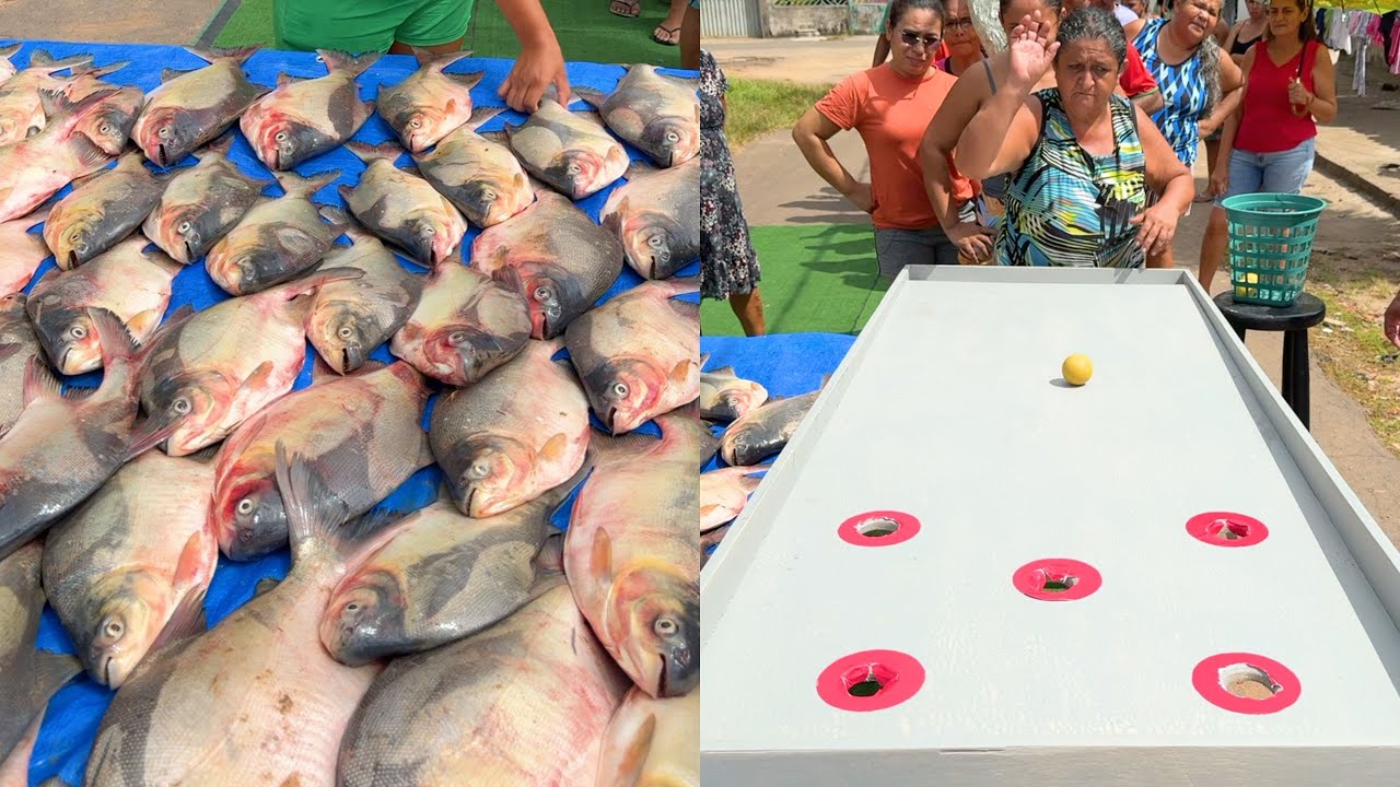 TABULEIRO DO PEIXE NO INTERIOR: Acerte a Bola E GANHE O PREMIO