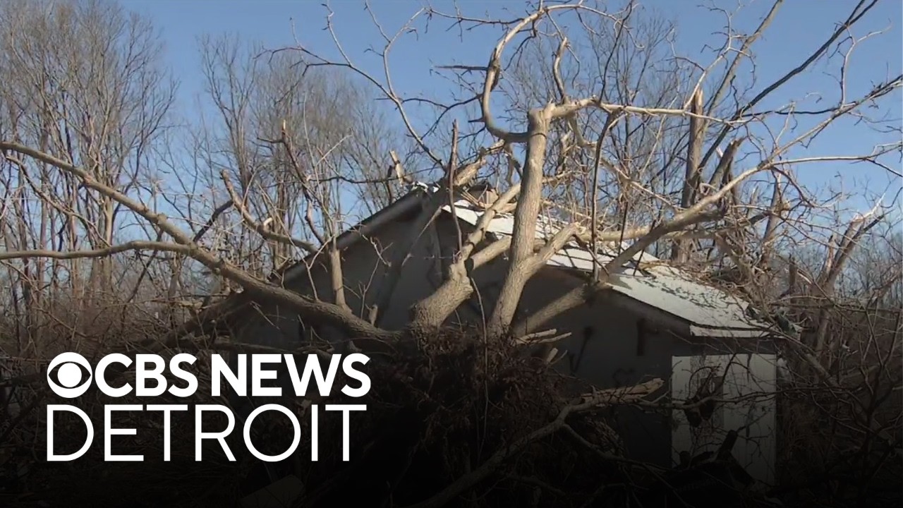 How to avoid scams after a natural disaster