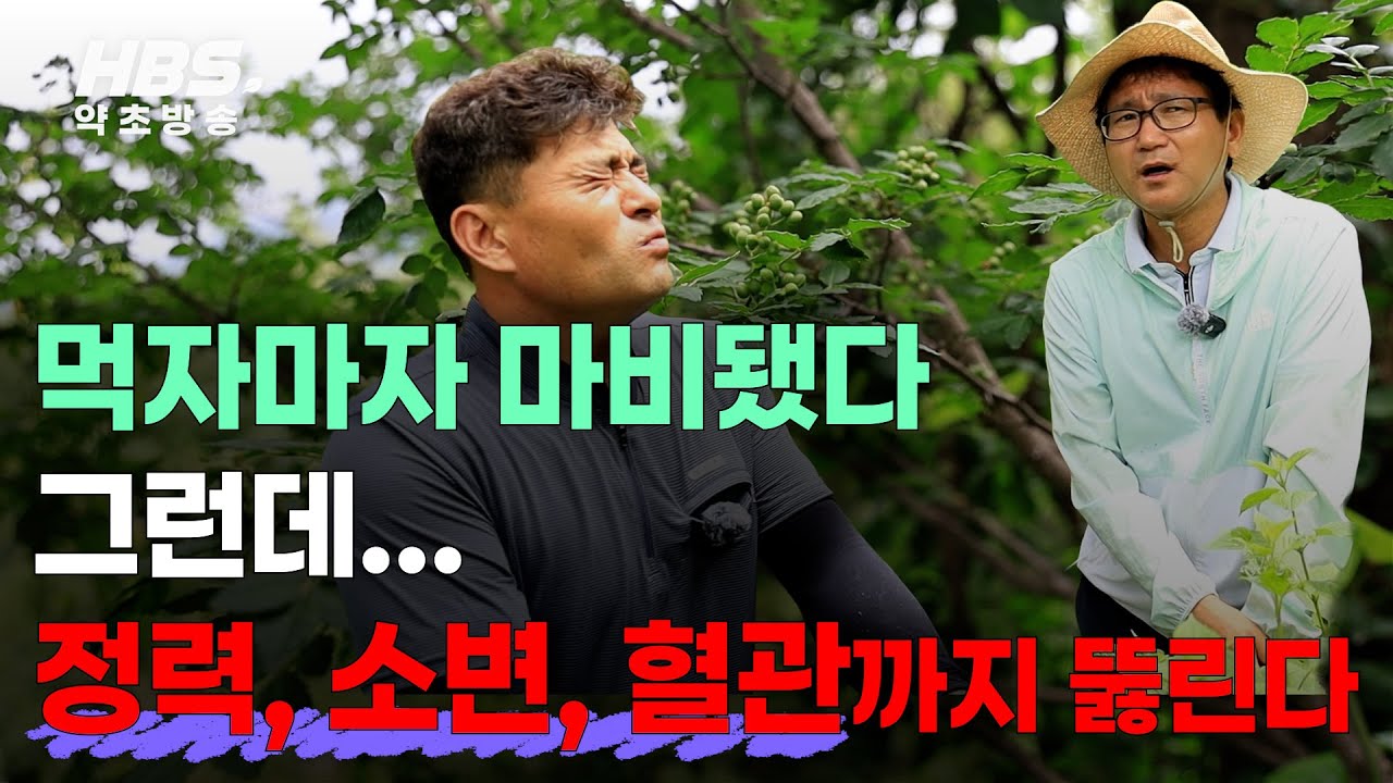 먹자마자 마비됐다 그런데 정력, 소변, 혈관까지 뚫린다
