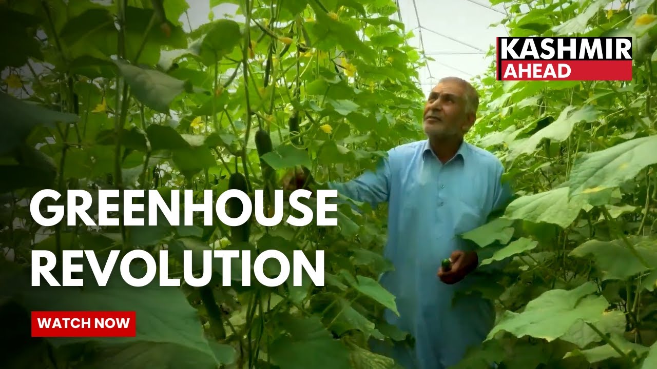 High-Tech Poly Greenhouses Transform Farming in Budgam, J&K, Improving Livelihoods for Farmers