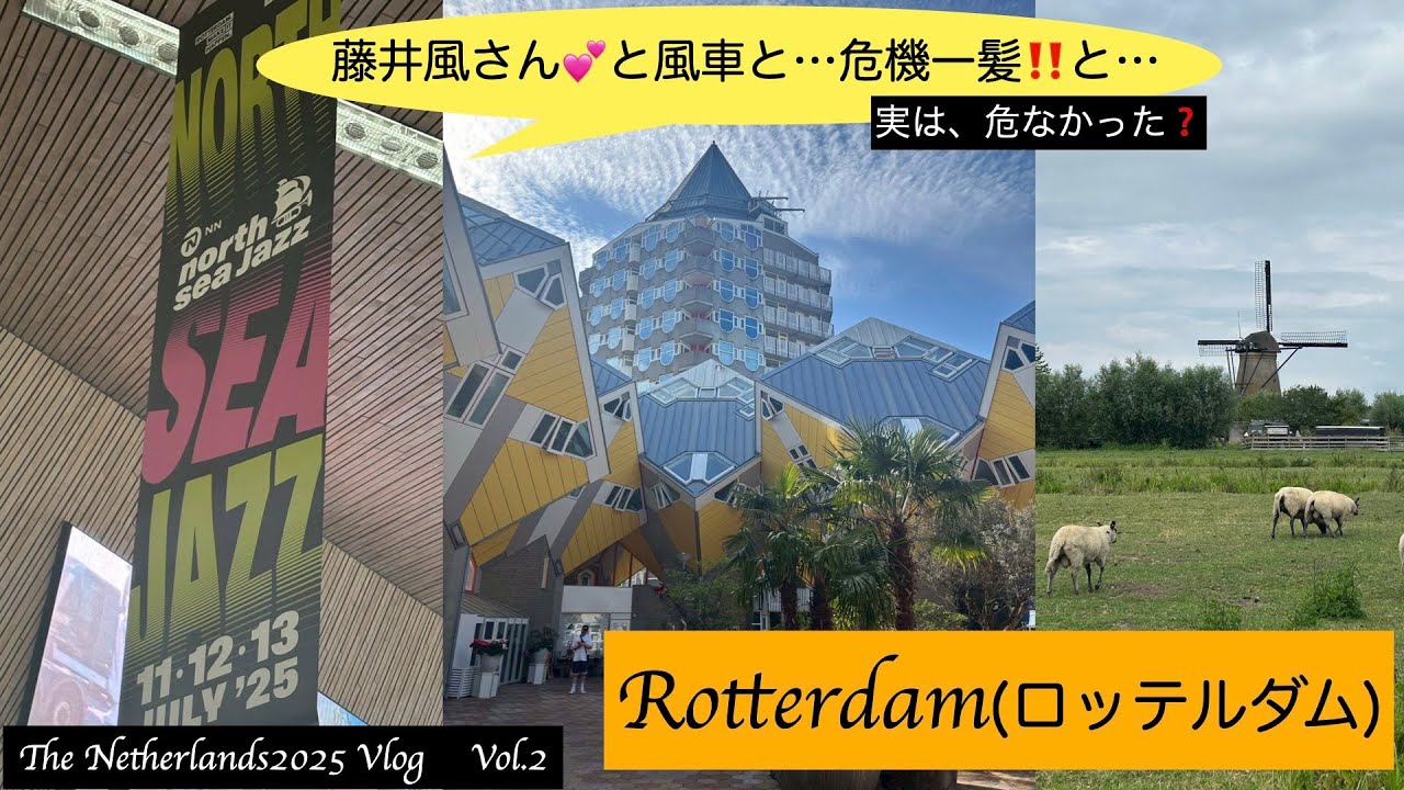 【Netherlands2025】vol.2 ロッテルダムを満喫❣️North Sea Jazz Fesで藤井風さんを見て💕、世界遺産キンデルダイクで風車を見る🥰。そして、人生初の危ない経験も…😱