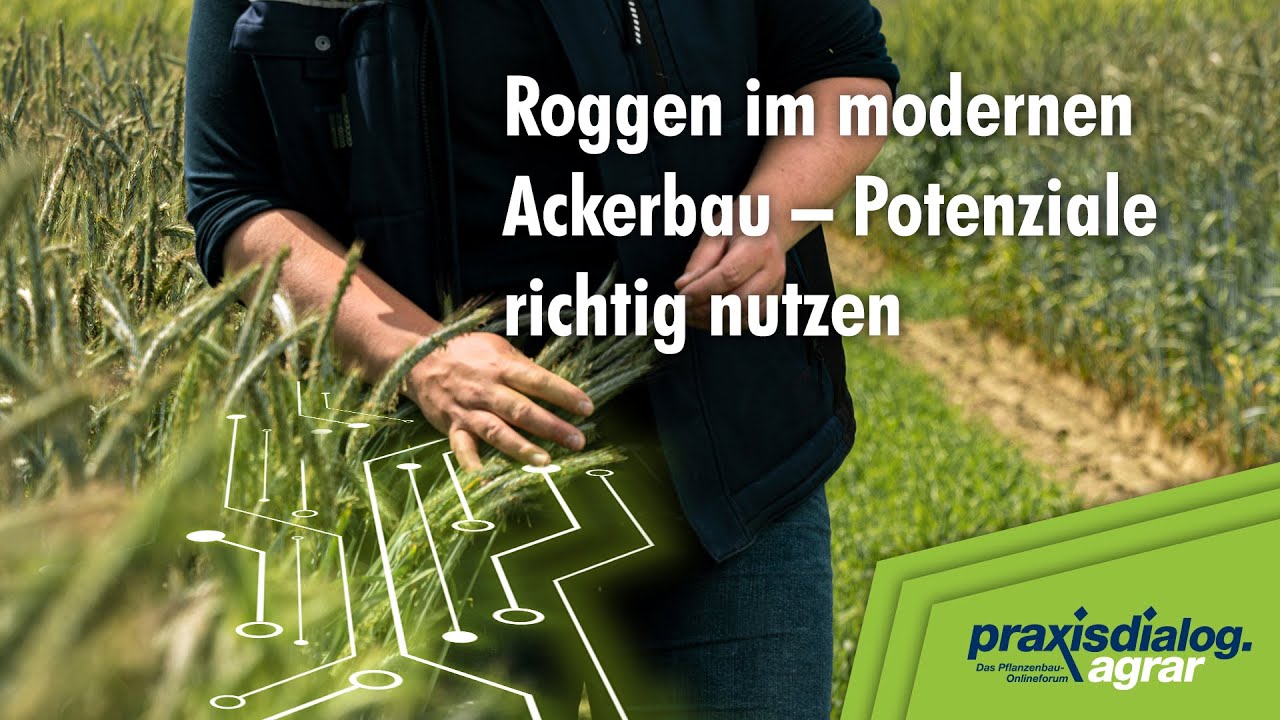 praxisdialog.agrar 2025: #03 | Roggen im modernen Ackerbau - Potenziale richtig nutzen