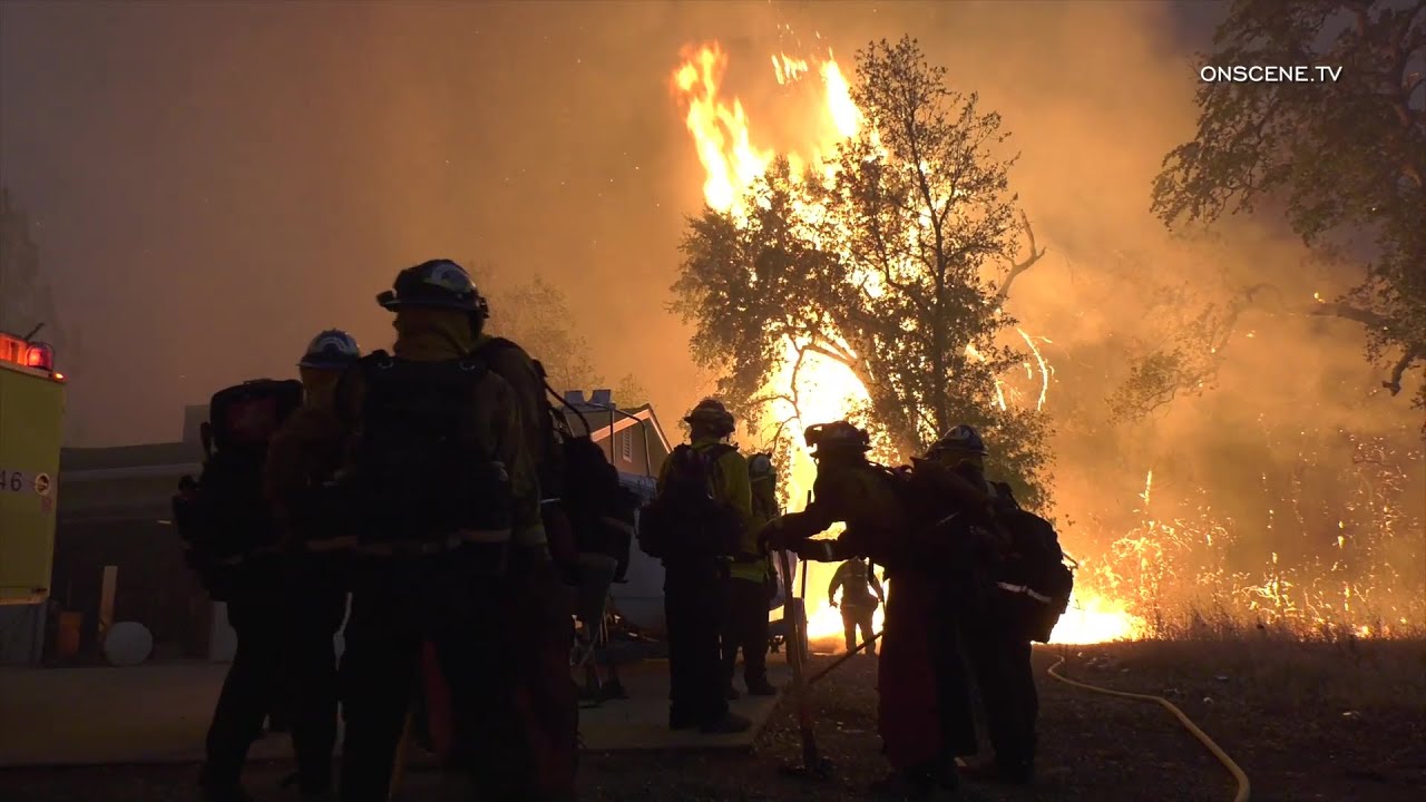 Zogg Fire Explodes to 7,000 Acres