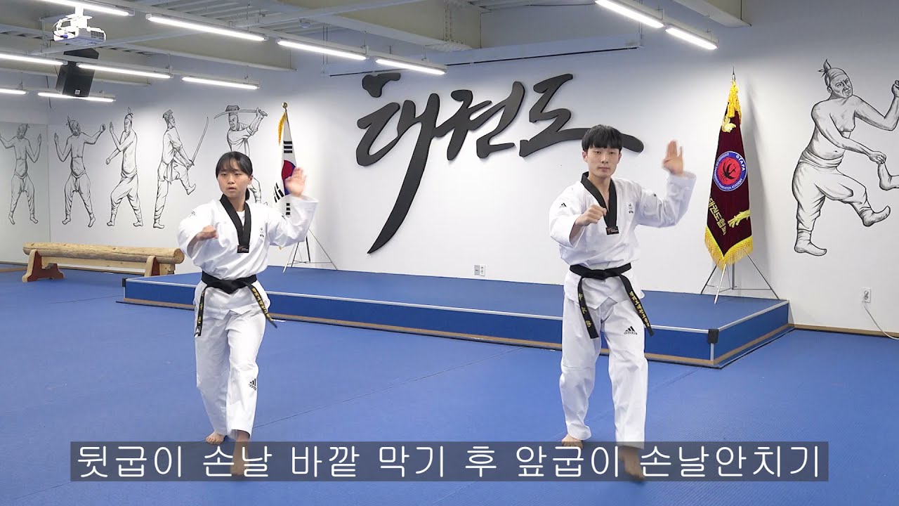 국기원 승품단 심사 4품, 4단, 5단 기본동작 및 겨루기 스텝발차기(코로나19특별심사용)