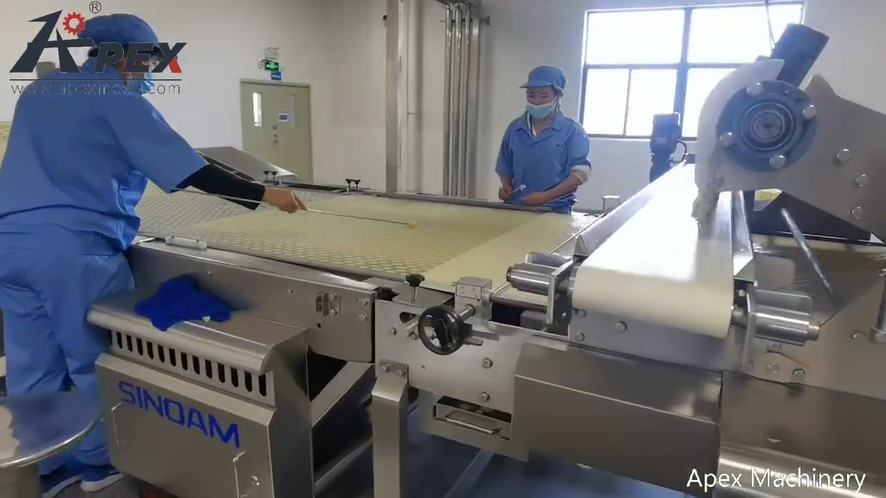 Excellent Quality Of Fish biscuit /cookie/cracker production line-APEX MACHINERY