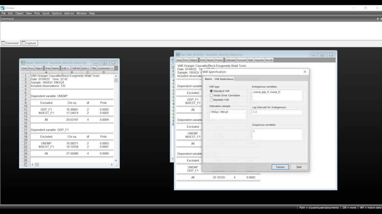 EVIEWS ile TEMEL EKONOMETRİ DERS 23 - GRANGER NEDENSELLİK (CAUSALITY) TESTİ ve HİPOTEZ, RAPORLAMA