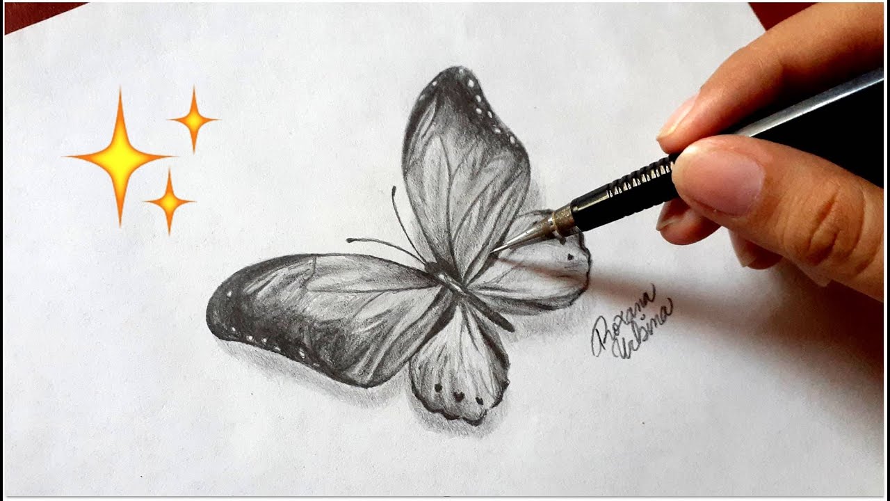 Cómo dibujar una mariposa con lápiz de grafito - Dibujos de mariposas | How To Draw a Butterfly