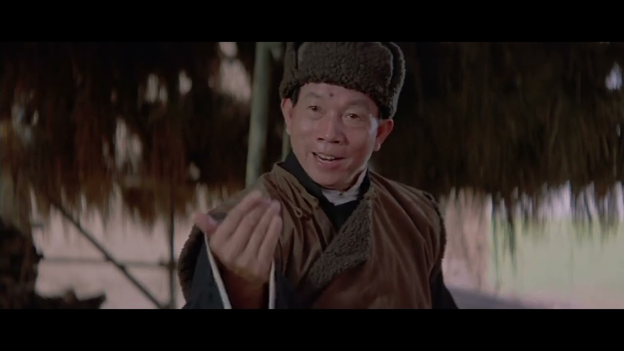 The Legend of Drunken master 