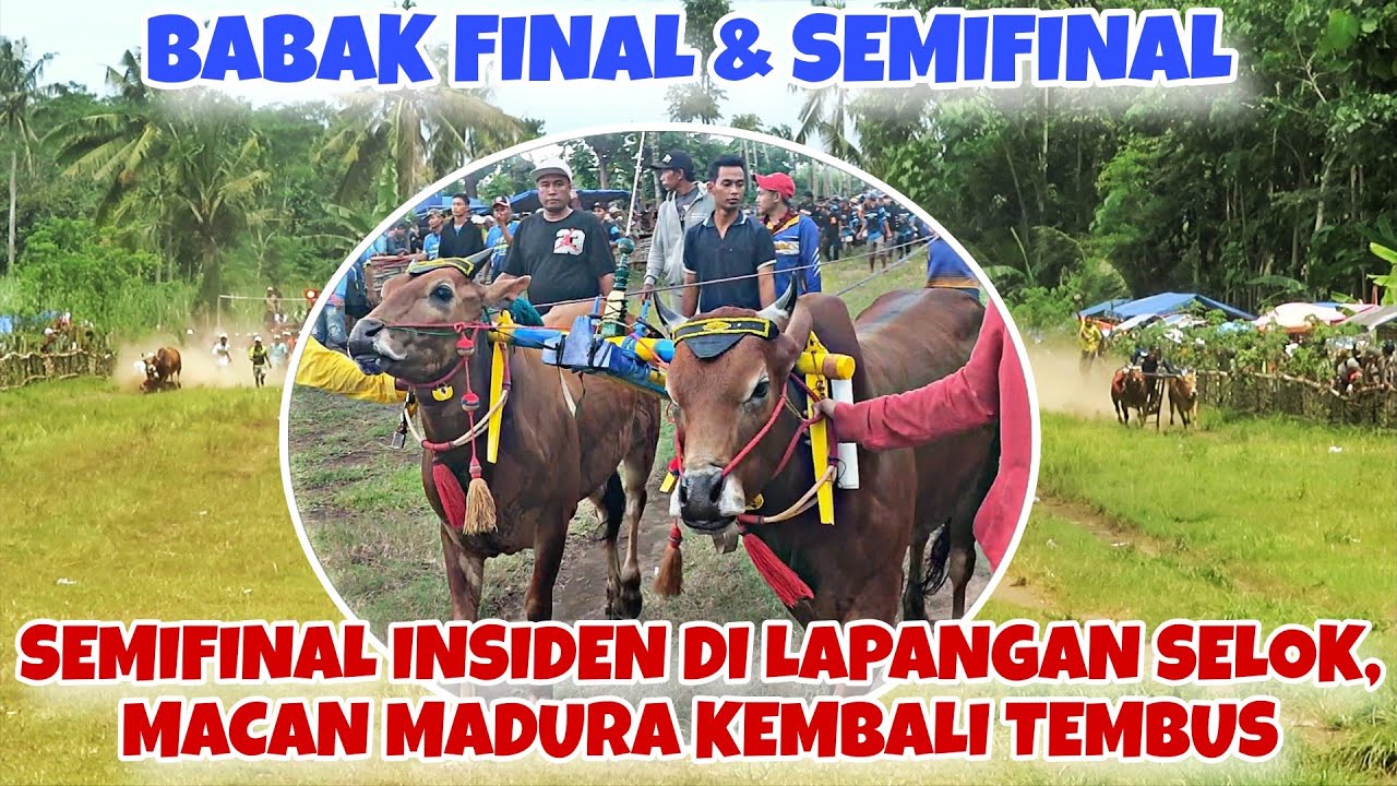 BABAK FINAL & SEMIFINAL MENGALAMI INSIDEN DI LAPAGAN SELOK ANYAR LUMAJANG || EVENT TERAKHIRAN 🔥🔥